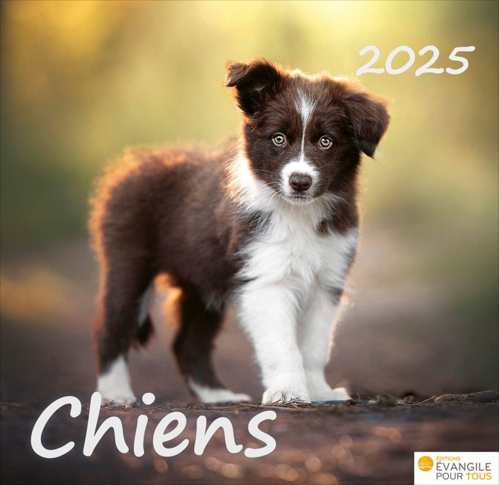 Calendrier - Chiens - Merveilles de la création