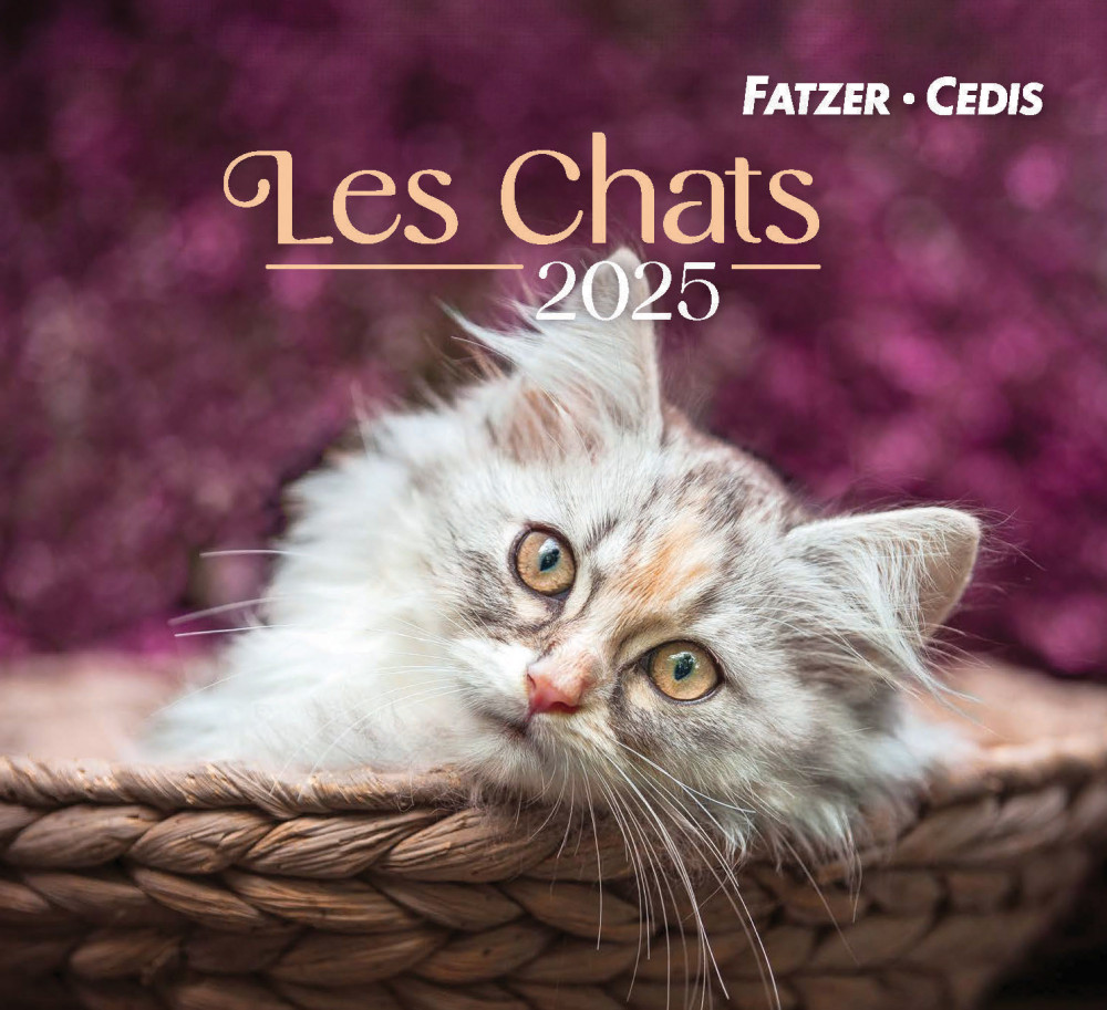 Calendrier - Les chats (petit format)