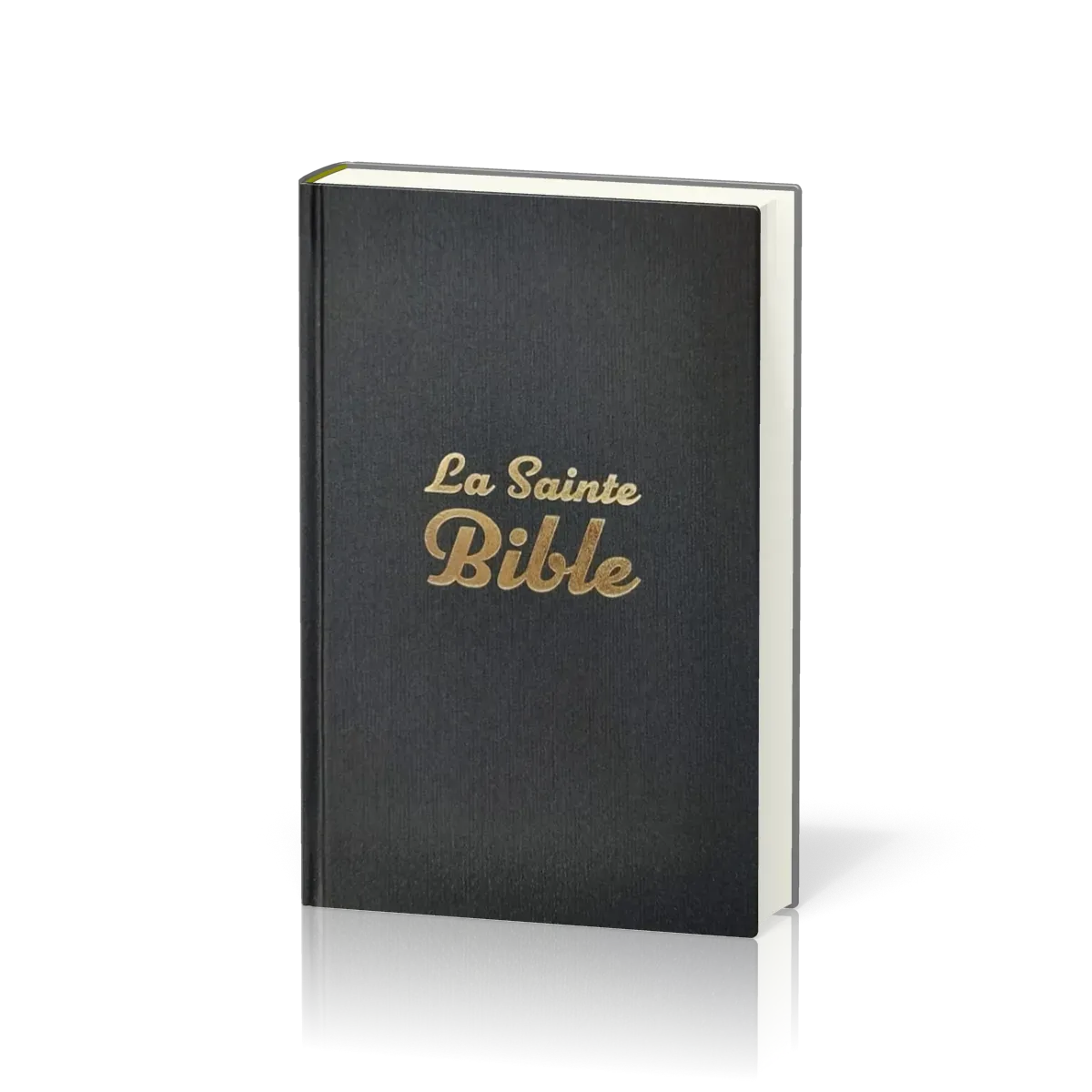 Bible Segond 1910 rigide gris