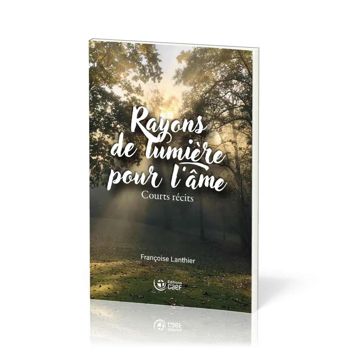 Rayons de lumière pour l’âme - Courts récits
