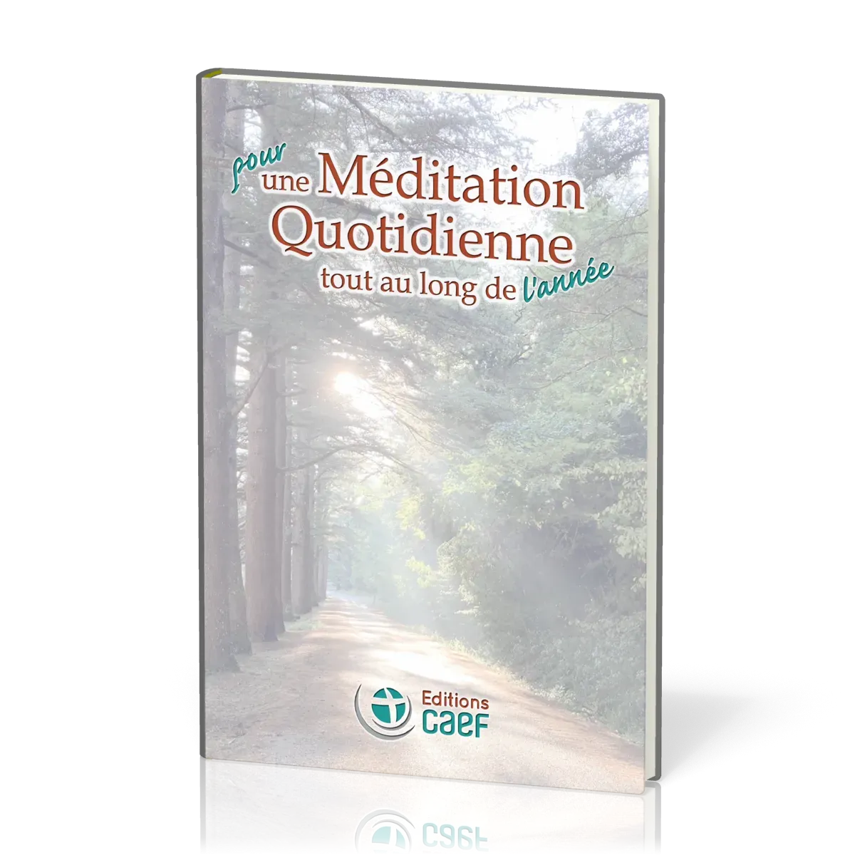 Pour une Méditation Quotidienne tout au long de l’année