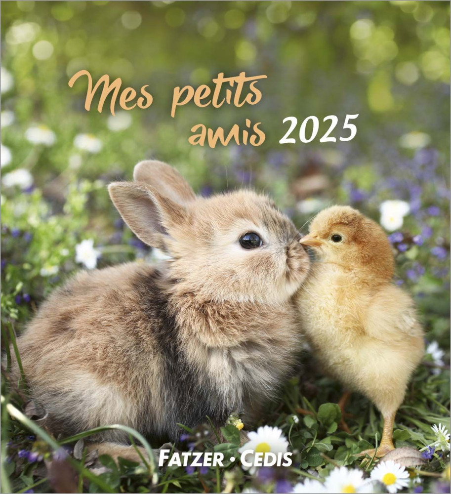 Calendrier - Mes petits amis