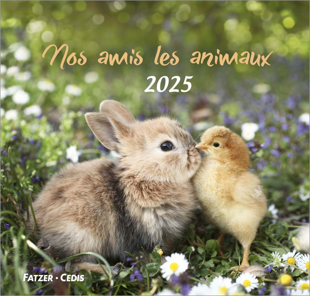 Calendrier - Nos amis les animaux