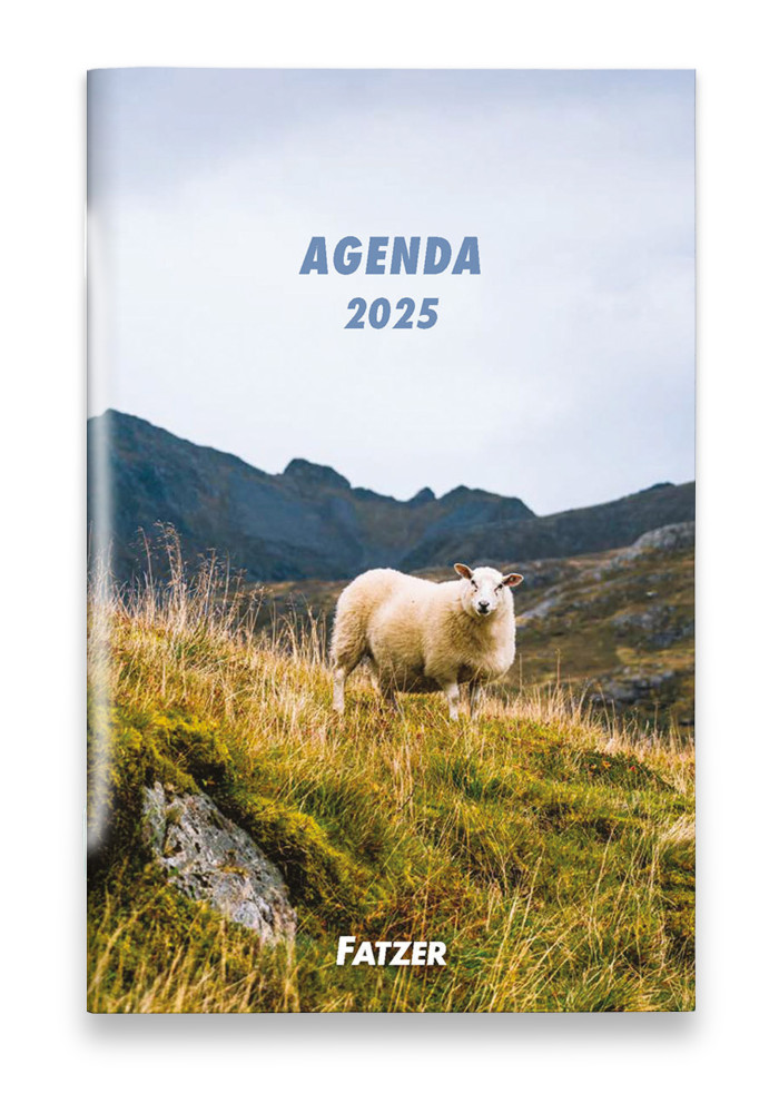 Agenda international 4 langues