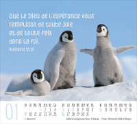 Calendrier - mini rencontres