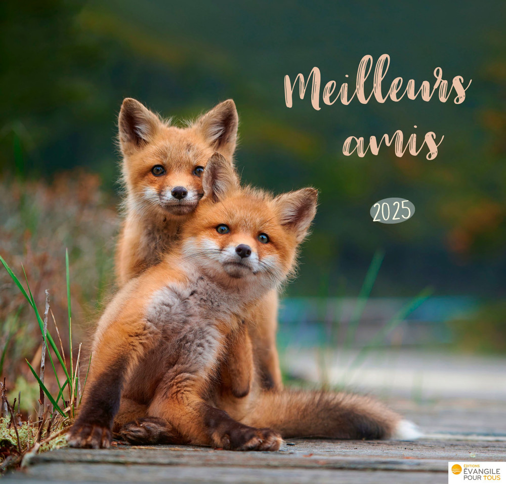 Calendrier - Meilleurs amis