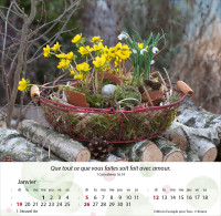 Calendrier - Jardins - Merveilles de la création