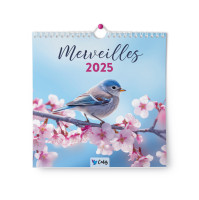 Calendrier - Merveilles (sans texte)