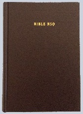 Bible NSQ Igbo