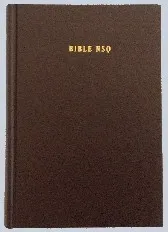 Bible NSQ Igbo
