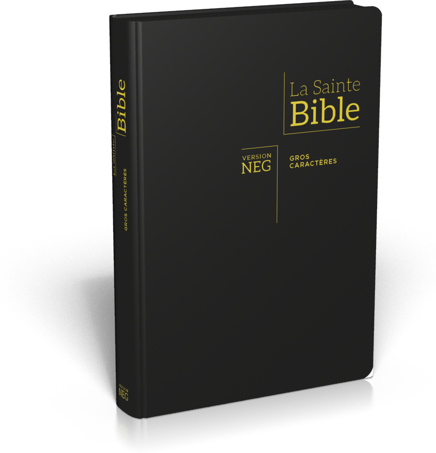 Bible NEG gros caractères souple noir or onglets zip