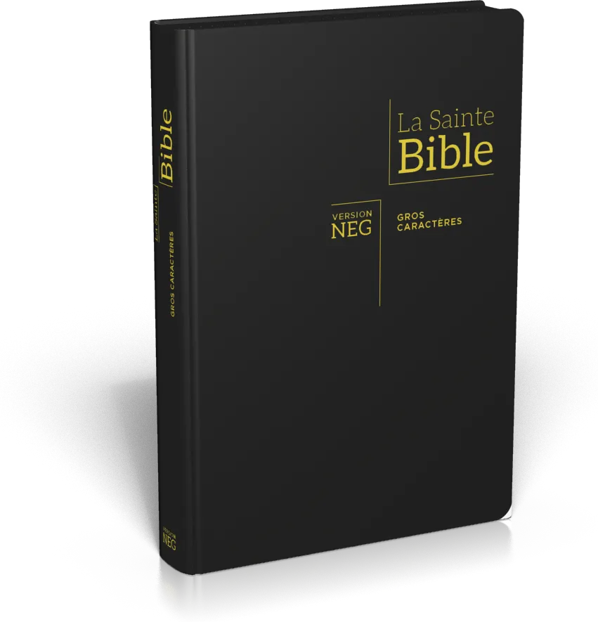 Bible NEG gros caractères souple noir or onglets zip