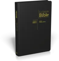 Bible NEG gros caractères souple noir or onglets zip