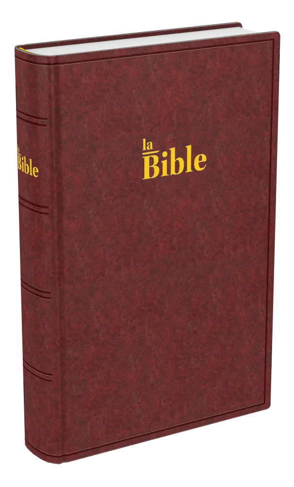 Bible Darby brun