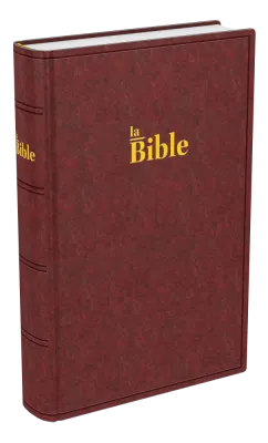 Bible Darby brun