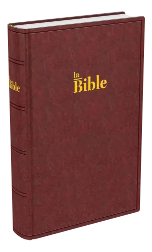 Bible Darby brun