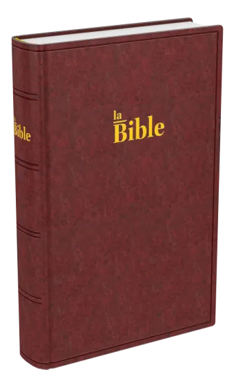 Bible Darby brun
