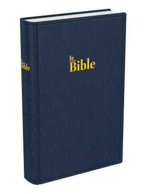 Bible Darby souple bleu