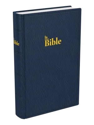 Bible Darby souple bleu