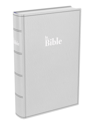 Bible Darby souple gris