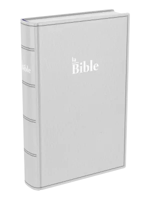 Bible Darby souple gris