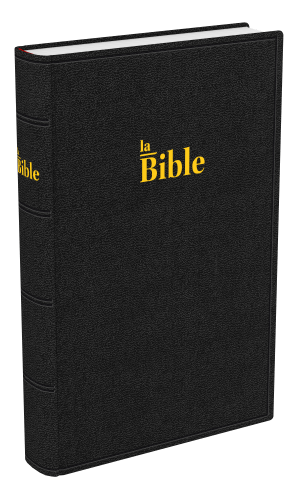 Bible Darby famille rigide noir (2024)