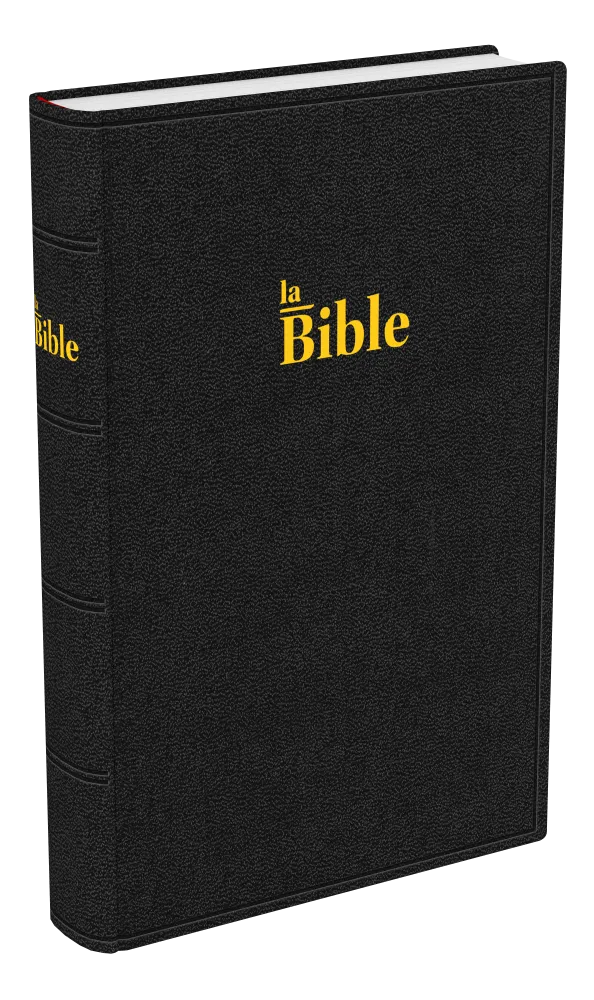 Bible Darby famille rigide noir