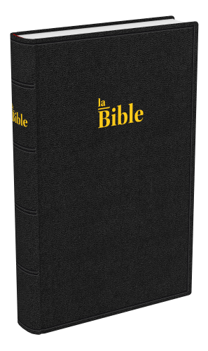Bible Darby famille rigide noir