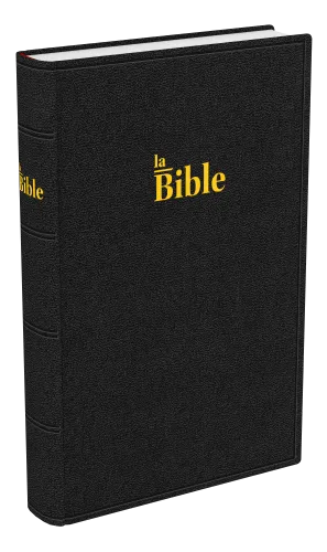 Bible Darby famille rigide noir