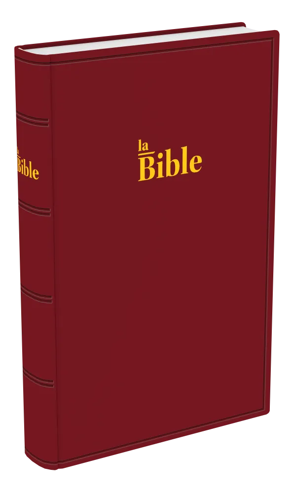 Bible Darby famille rigide grenat