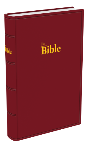 Bible Darby famille rigide grenat