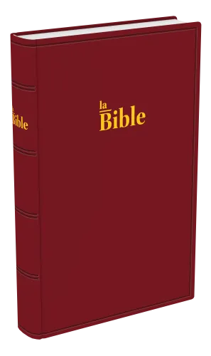 Bible Darby famille rigide grenat