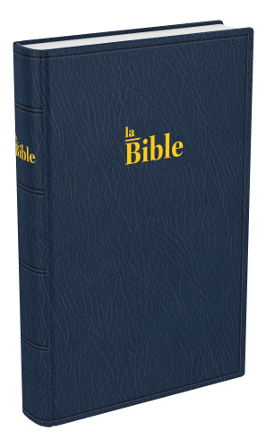 Bible Darby famille souple bleu (2024)