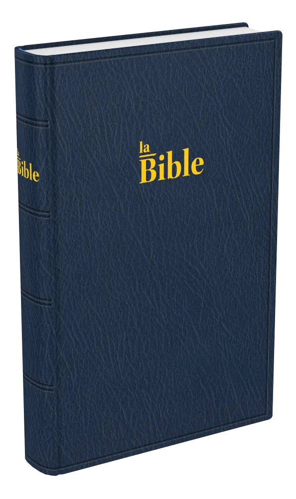 Bible Darby famille souple bleu