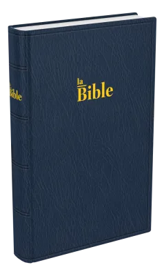 Bible Darby famille souple bleu