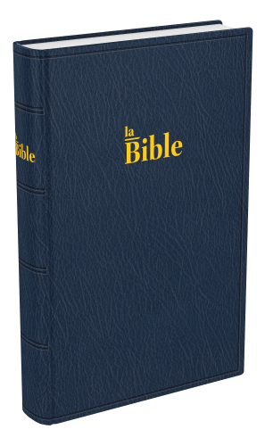 Bible Darby famille souple bleu