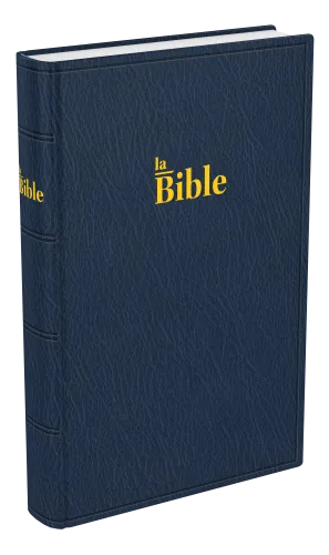 Bible Darby famille souple bleu