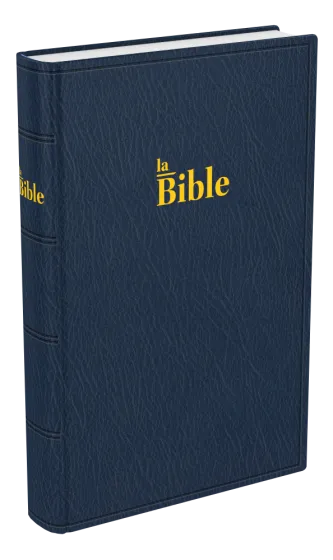 Bible Darby famille souple bleu