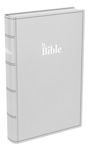 Bible Darby famille souple gris (2024)