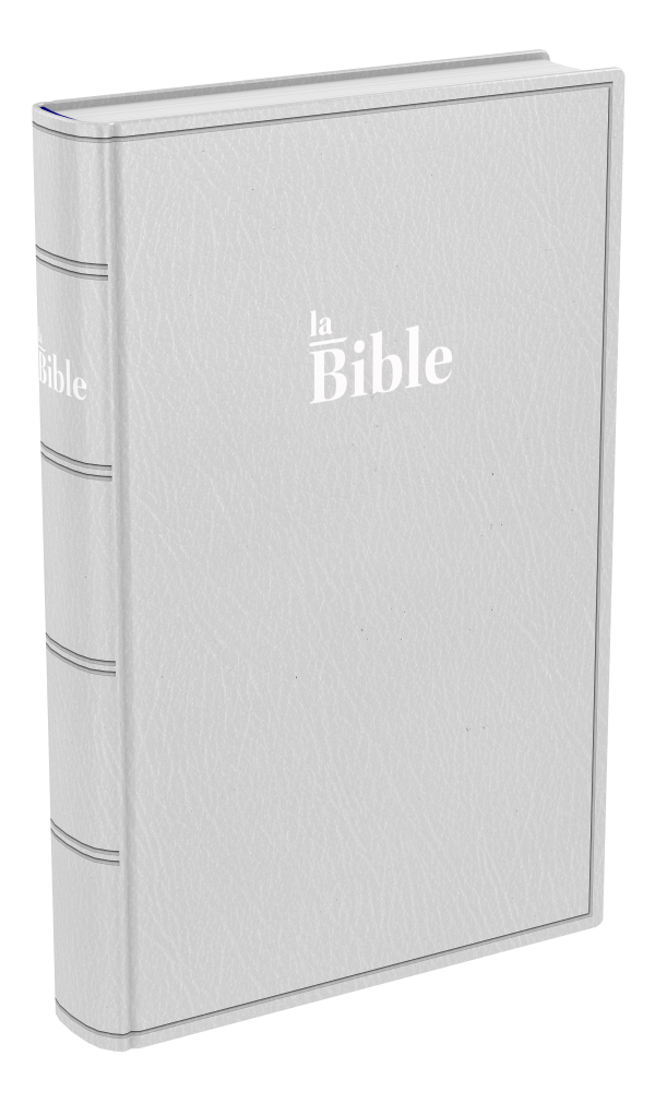 Bible Darby famille souple gris