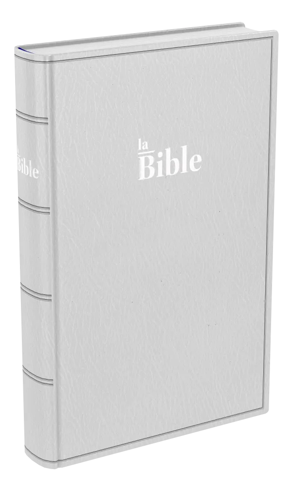 Bible Darby famille souple gris