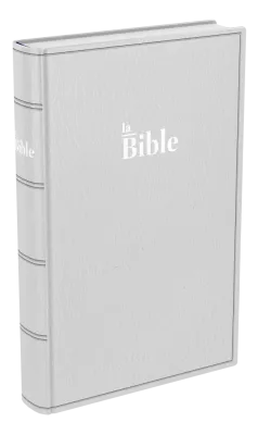 Bible Darby famille souple gris