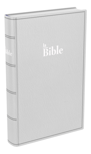 Bible Darby famille souple gris