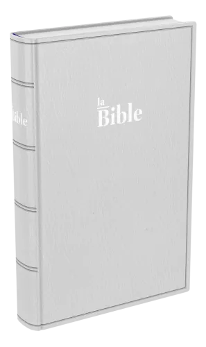 Bible Darby famille souple gris