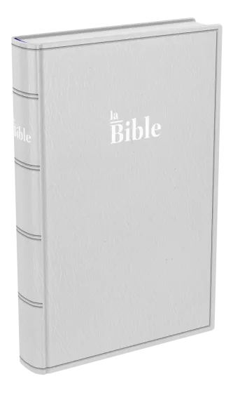Bible Darby famille souple gris
