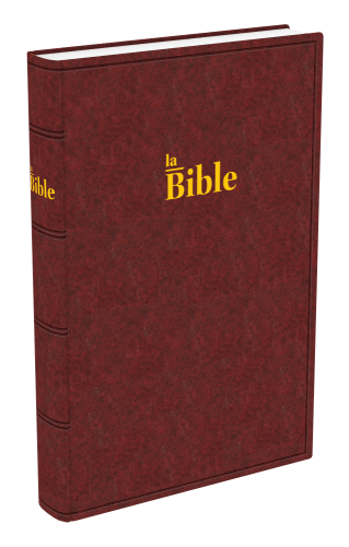 Bible Darby gros caractères rigide brun (2024)