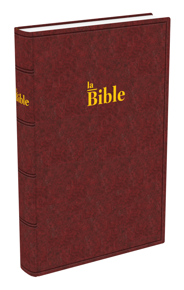 Bible Darby gros caractères rigide brun