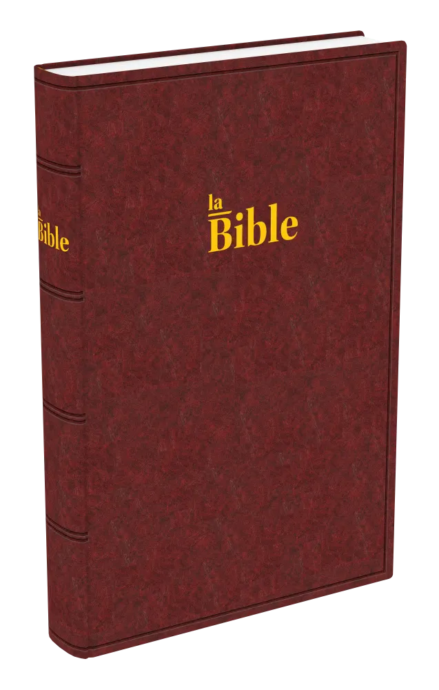 Bible Darby gros caractères rigide brun