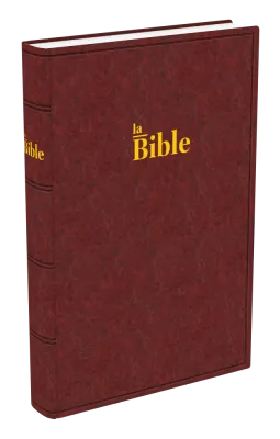 Bible Darby gros caractères rigide brun