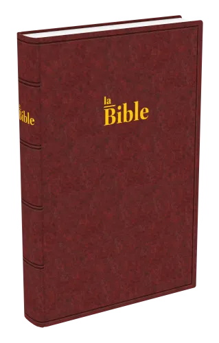Bible Darby gros caractères rigide brun